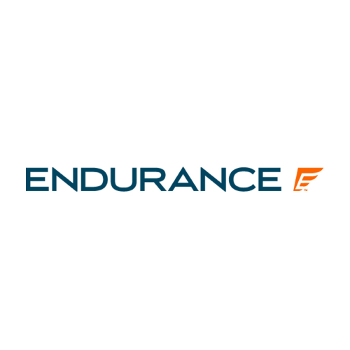 Endurance logo